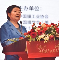 顧秀蓮出席2019中國膜產(chǎn)業(yè)發(fā)展峰會并對膜產(chǎn)業(yè)發(fā)展提出四點(diǎn)建議